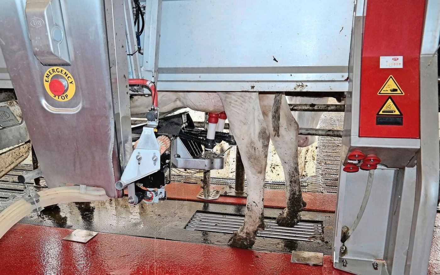 «Unter bestimmten Bedingungen»: Robotermilch für Gruyère AOP sei eine Option, sagt die Forschungsanstalt Agroscope.