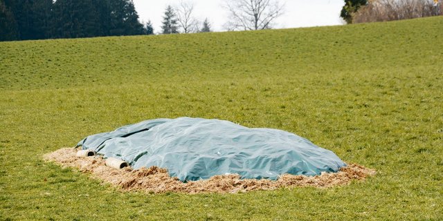 Fast erfüllt: Dieser Mist wird an einem ebenen und trockenen Standort zwischengelagert. Die Abdeckung ist knapp.(Archivbild BauZ)