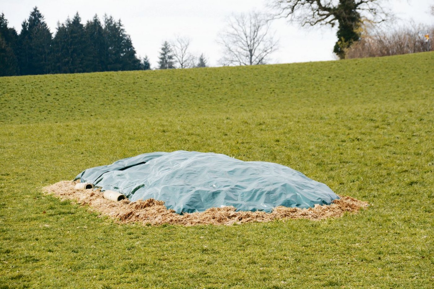 Fast erfüllt: Dieser Mist wird an einem ebenen und trockenen Standort zwischengelagert. Die Abdeckung ist knapp.(Archivbild BauZ)