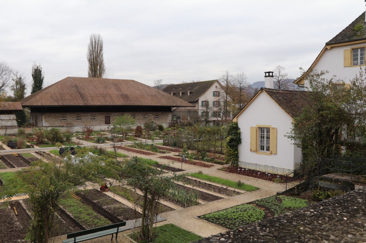 Mira Langenegger ist unter anderem für die Planung des Schaugartens in den Merian-Gärten in Basel verantwortlich. 