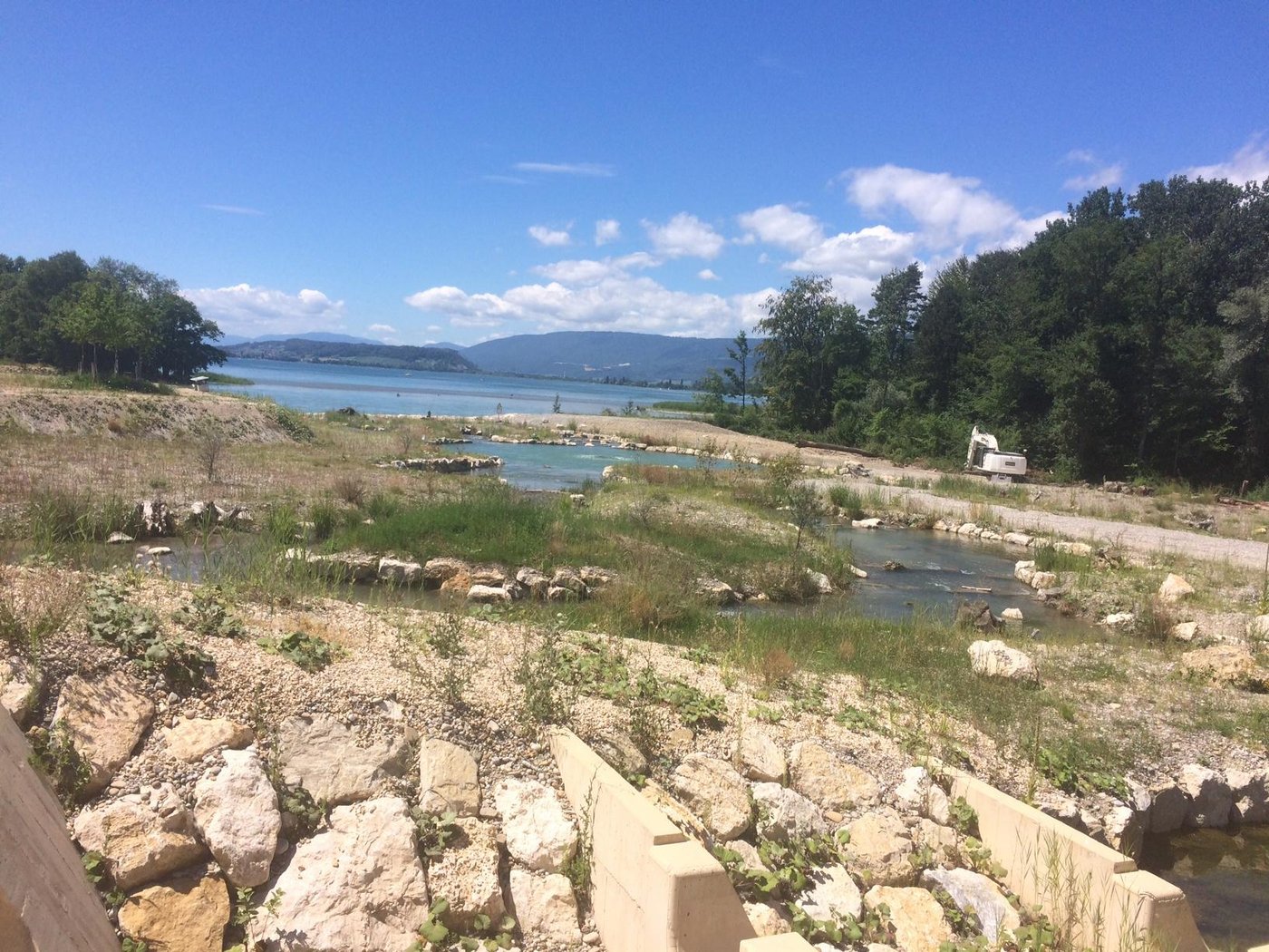 Die Frischtreppe beim Kraftwerk Hagneck. (Bild Jasmine Baumann)