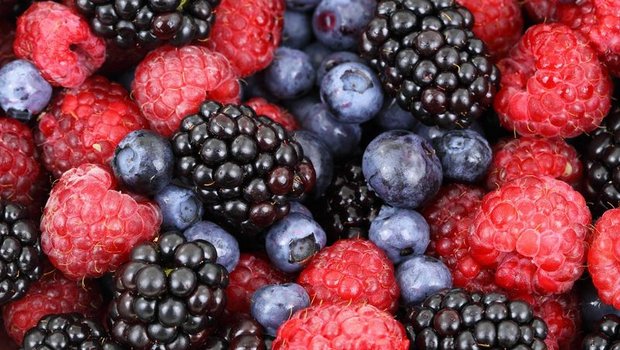 Schweizer Beeren präsentieren sich jetzt in satten Farben. (Bild lid)