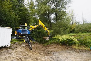 Kanton Zürich: Vollständige Bekämpfung aller Neophyten ist nicht möglich Das Bild aus dem Jahr 2017 zeigt die Bekämpfung des Japanknöterichs im Repischtal (rechts im Bild). Dieser vermehrt sich über ein umfangreiches Netz von Wurzeln und Rhizomen. Entsprechend aufwendig ist die Bekämpfung.(Bild Christian Weber)