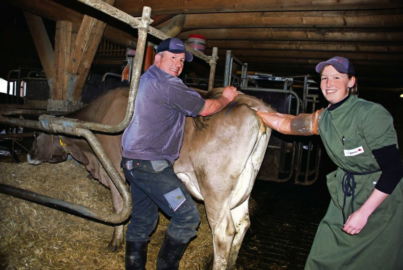 Brigitte Meier vollzieht ihr «tierzüchterisches Handwerk» bei Ursi, im Stall von Alfred von Ah (links). (Bild: Ruth Bossert)