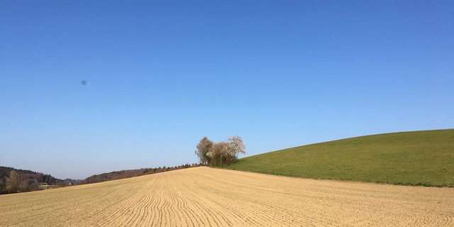 Von der AP 22+ fordert die Sals auch geeignete Lösungen für den Umgang mit den Risiken des Klimawandels, etwa ungleich verteilten Regenmengen. (Bild jsc)