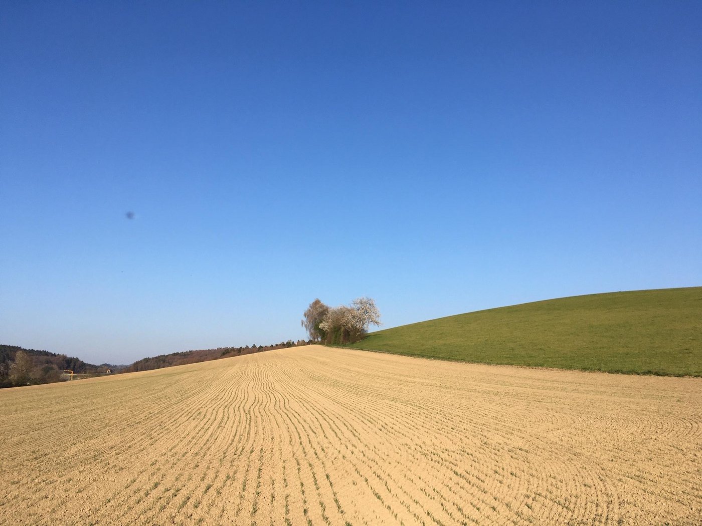 Von der AP 22+ fordert die Sals auch geeignete Lösungen für den Umgang mit den Risiken des Klimawandels, etwa ungleich verteilten Regenmengen. (Bild jsc)