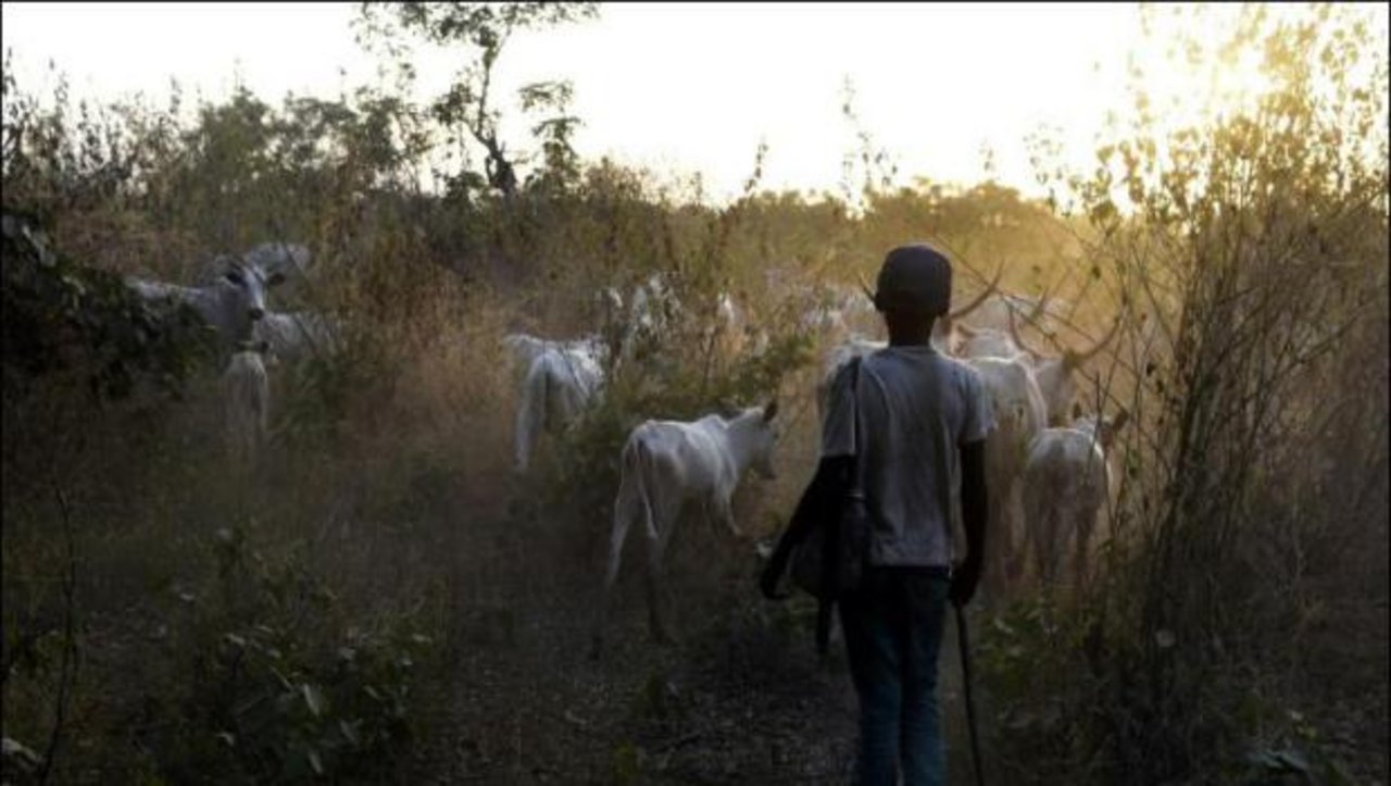 Mutmassliche Viehtreiber töten mindestens fünf Menschen in Nigeria. (Bild AFP)