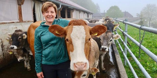 Kathrin Niemetz mit ihrem Liebling «Frau Stucki», einer F1-Limousin-Kuh. Sonst besteht ihre Mutterkuhherde aus Grauvieh, das sie zum grössten Teil selber gezüchtet hat. (Bilder Esther Thalmann)