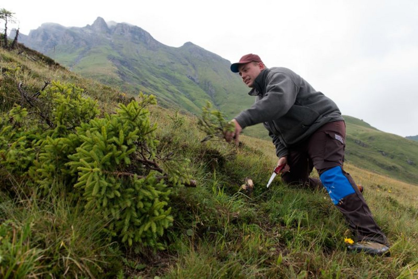 Ein Zivildienstler im Einsatz in der Alpwirtschaft in Grindelwald. (Bild ZIVI, Lukas Lehmann)