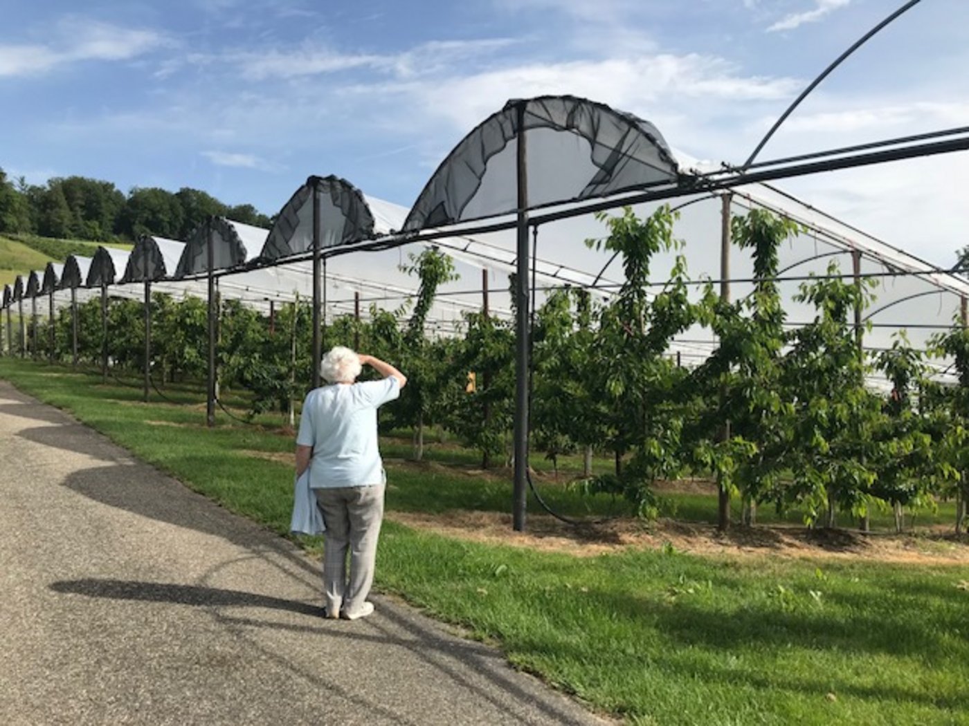 Auf dem Breitenhof gibts einiges zu entdecken. (Bild akr)