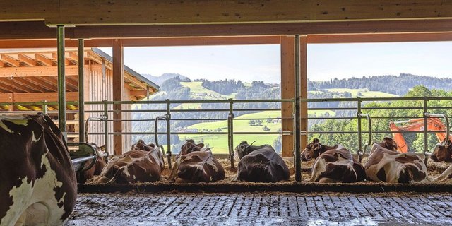 Nur gesunde Tiere können ihr Leistungspotenzial voll ausschöpfen. Die Liegezeit hat einen hohen Einfluss auf die Tiergesundheit.