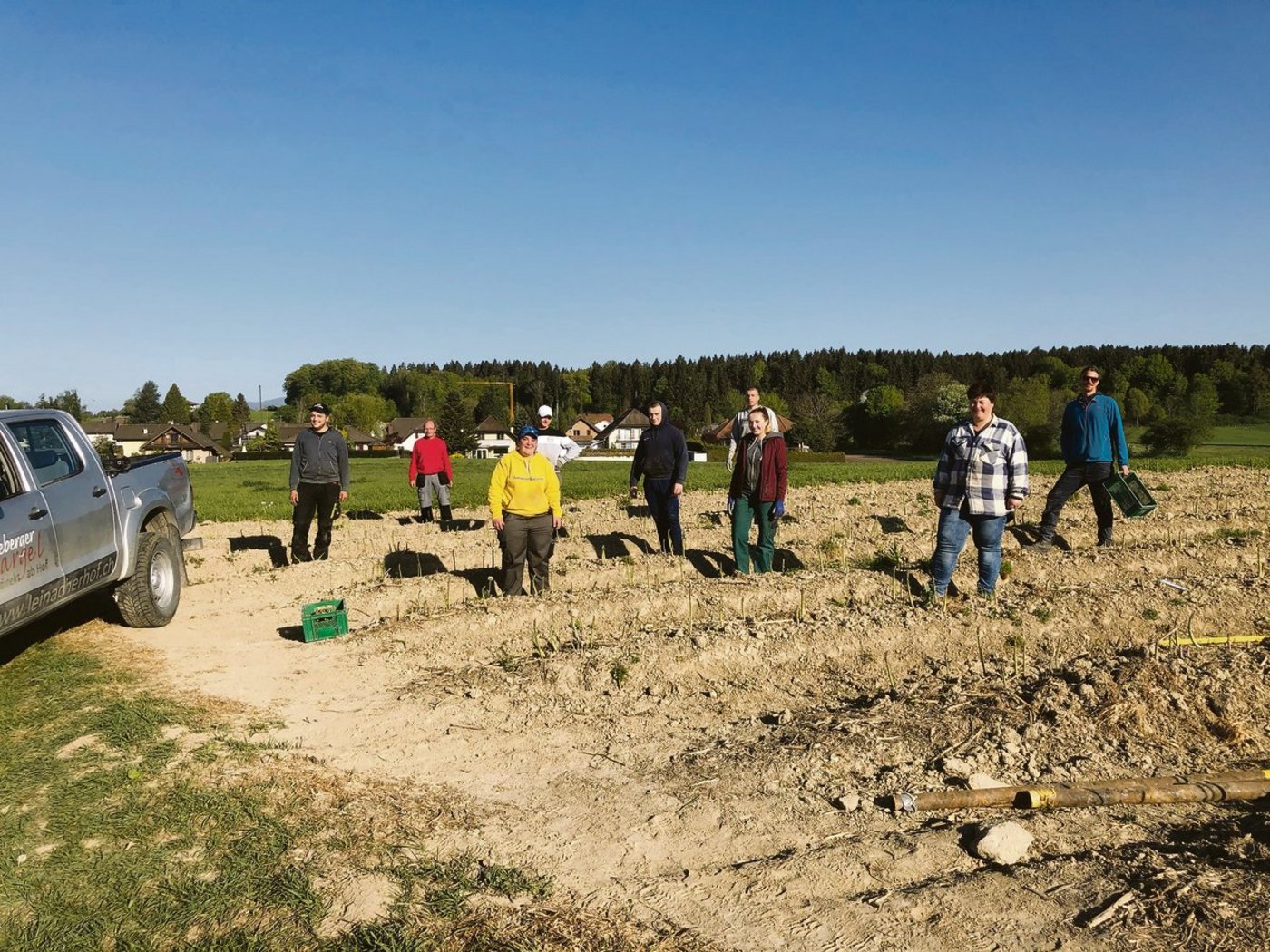 Der Leinacherhof in Seeberg sticht heuer nebst mit polnischen auch mit Schweizer Helfern Spargeln. Die erste Bilanz fällt positiv aus. (Bilder zVg)