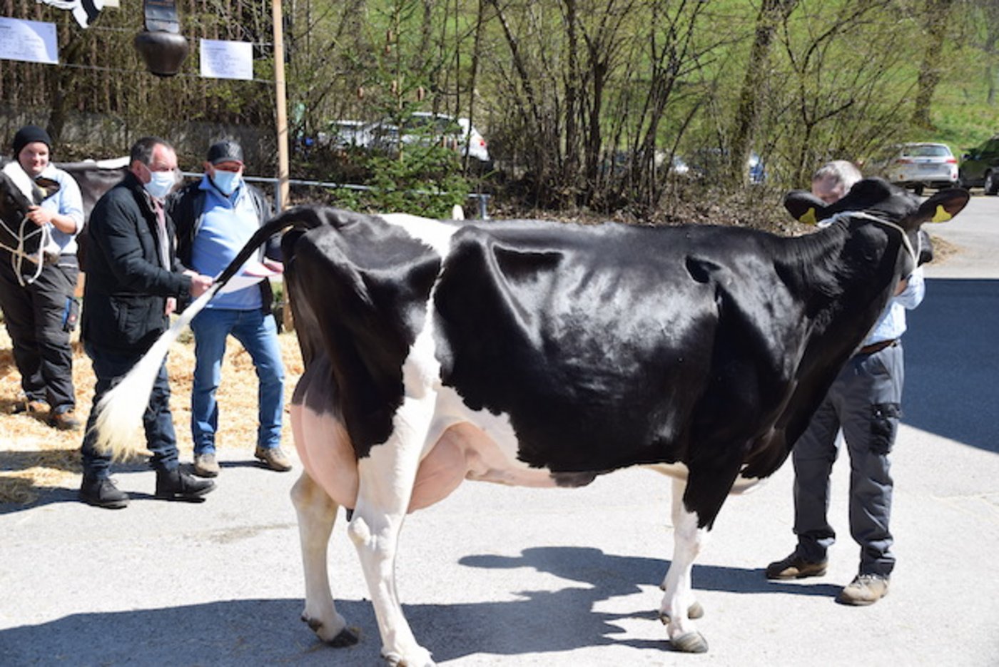 Die beiden Experten Heinz Baur und Daniel Zürcher an der Arbeit.