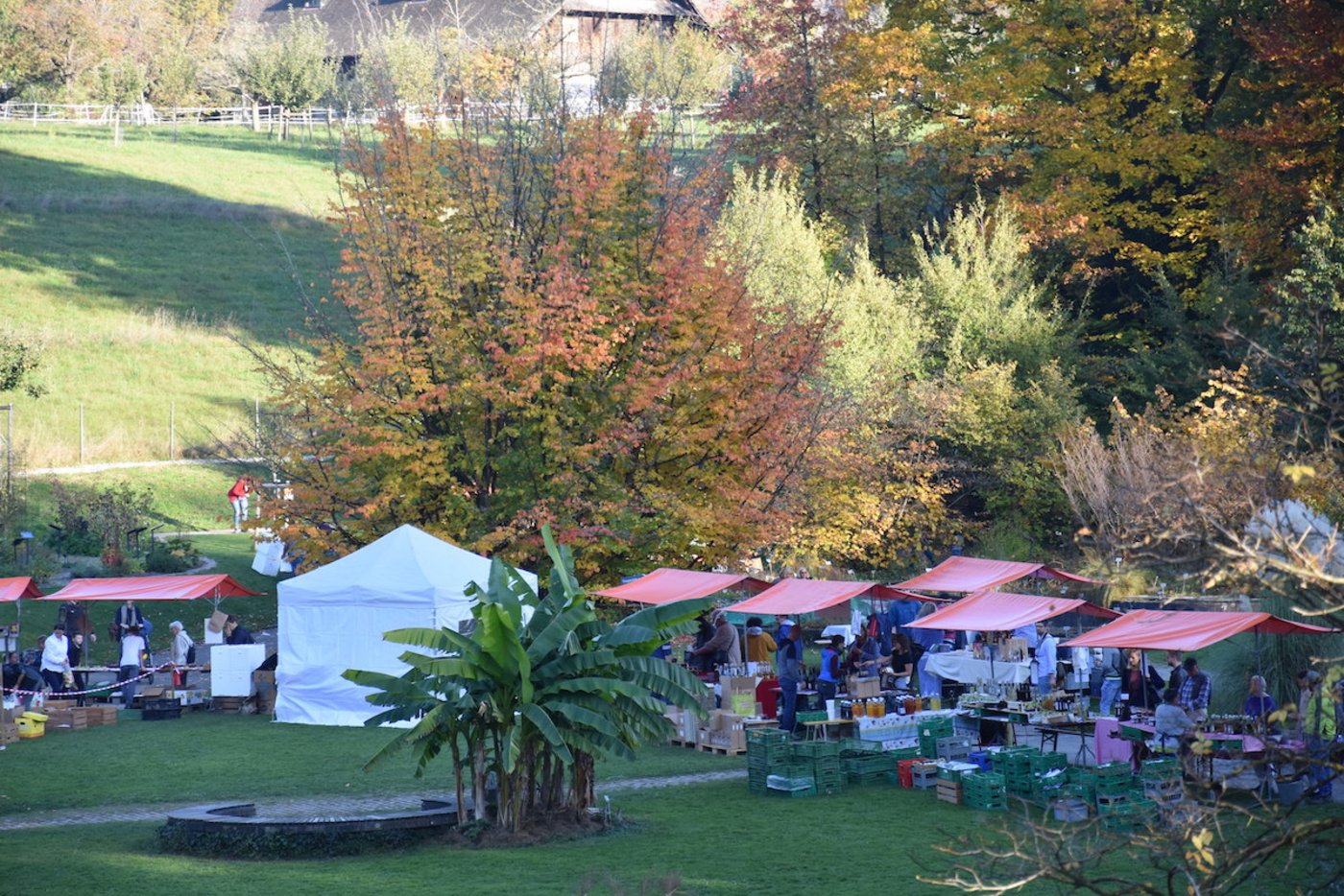 An 16 Ständen wurden Obst und Obstprodukte angeboten. (Bild noe)