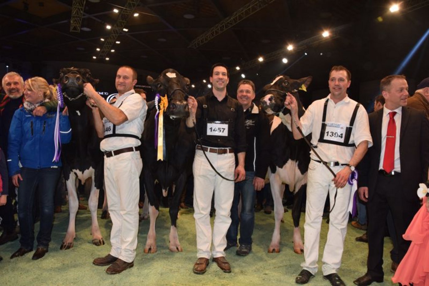 Grand Champion (links): Atwood Galys Vray, Marc und Erhard Junker, Staub/Al.Be.Ro, Iffwil.  Reserve Grand Champion (Mitte): Hellender Goldwyn Glinnia, Anton, Thomas und Andreas Ender, Kallern.  Mention Honorable (rechts): DH Gold Chip Darling, Roger Frossard, Les Pommerats. (Bilder Fankhauser)