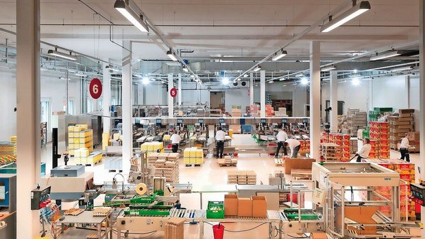 Die F&F SA/AG verarbeitet im luzernischen Schötz jährlich weit über 130 Mio Eier von über 60 Legehennen-Betrieben. Grosse Abnehmer sind Aldi und Lidl.