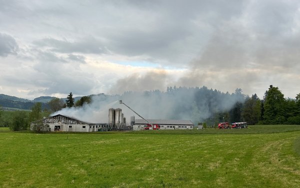 Gossau: Brand in zwei Schweineställen mit rund 1500 Tieren - bauernzeitung.ch | BauernZeitung