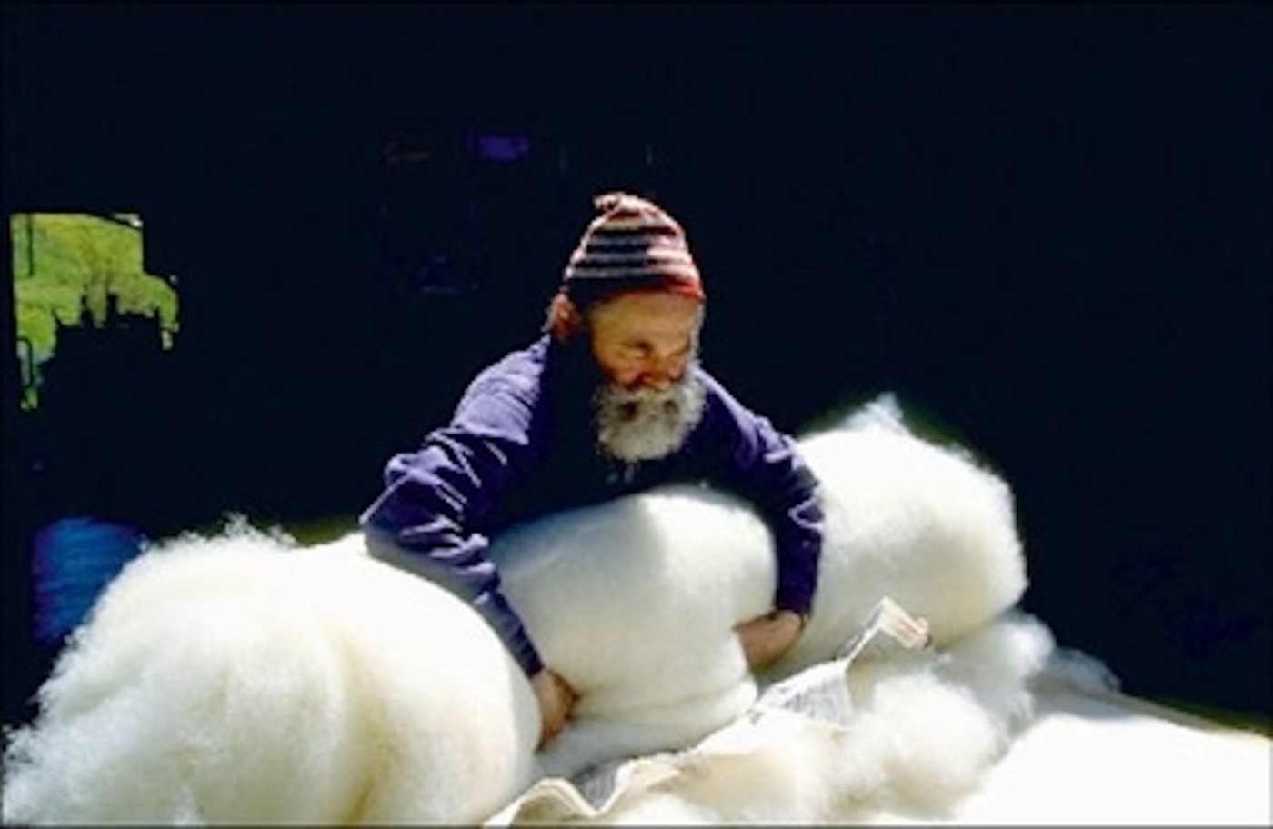 Jährlich betragen die Bundesausgaben zugunsten der Schafwollverwertung 800'000 Franken. (Bild ProWolle)