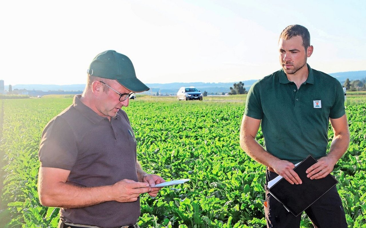 Gastgeber Harald Jöhr (l.) und Fabian Roth von der KWS Suisse SA führten durch die Zuckerrübenkulturen. 