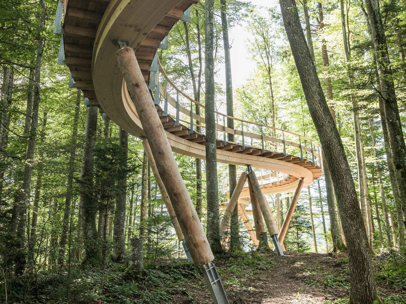 Blick auf den neuen Baumwipfelpfad in luftiger Höhe. (Bild baumwipfelpfad.ch)