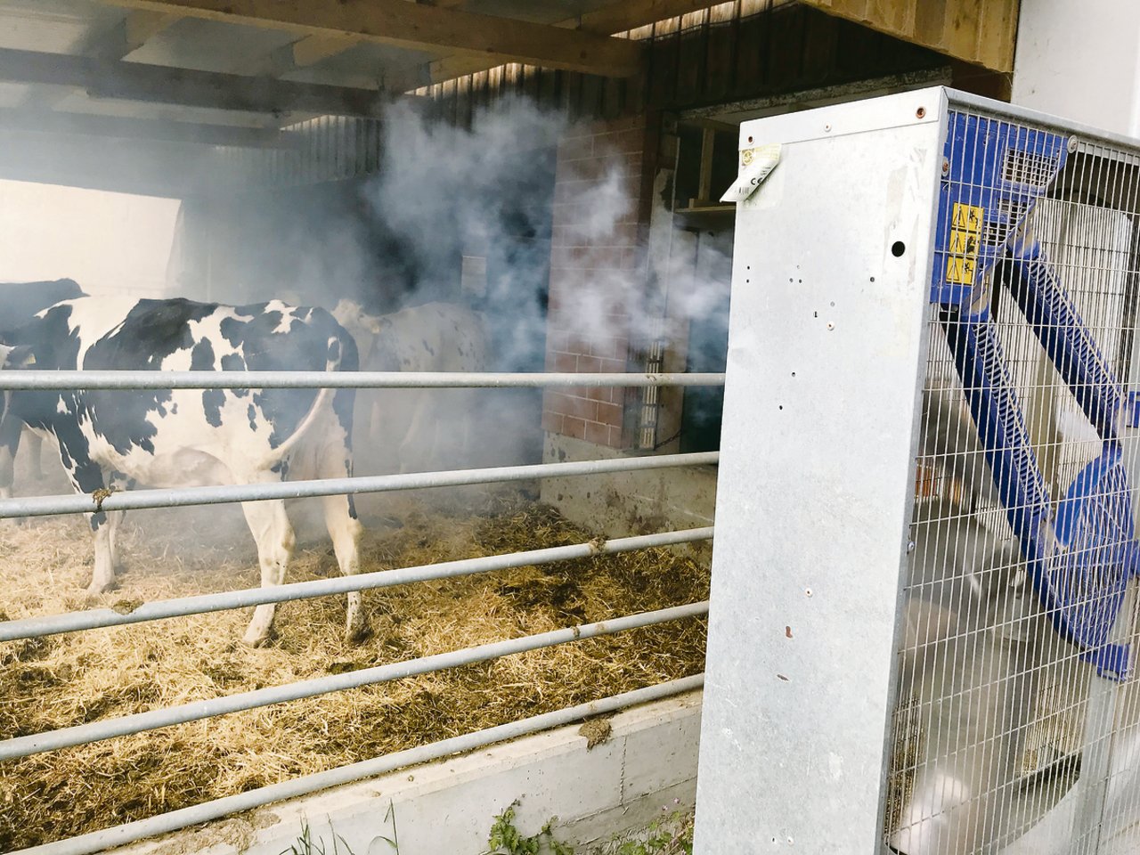 Mit speziell dazu erzeugtem Rauch werden die Luftströme im Stall sichtbar gemacht.
