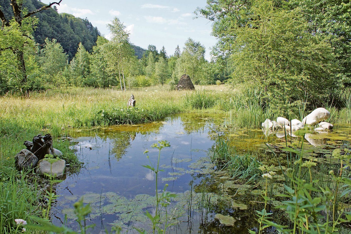 Das Emmenmätteli mit Naturweihern, artenvielfältigen Natur- und Magerwiesen und vielem mehr.