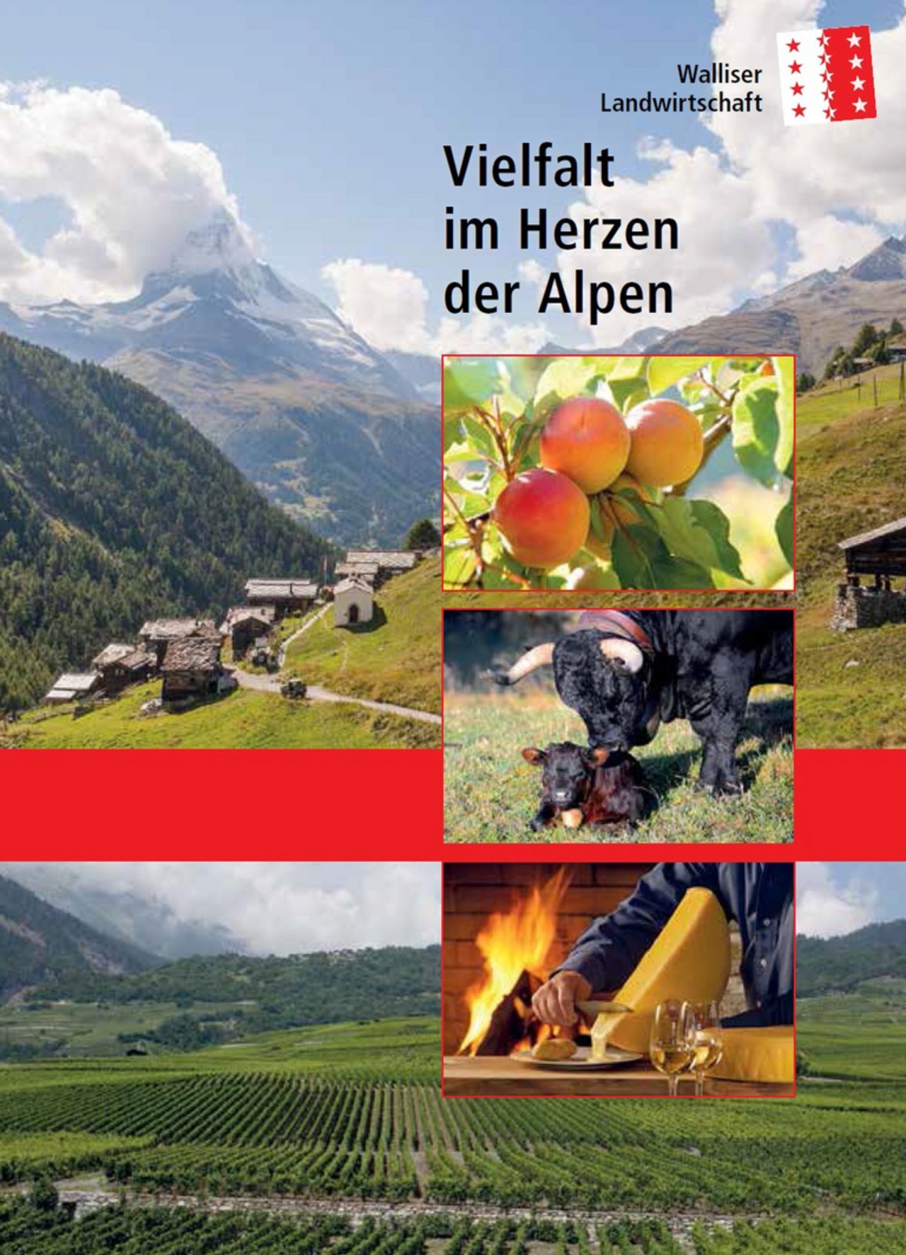 Neue Broschüre über Walliser Landwirtschaft - bauernzeitung.ch