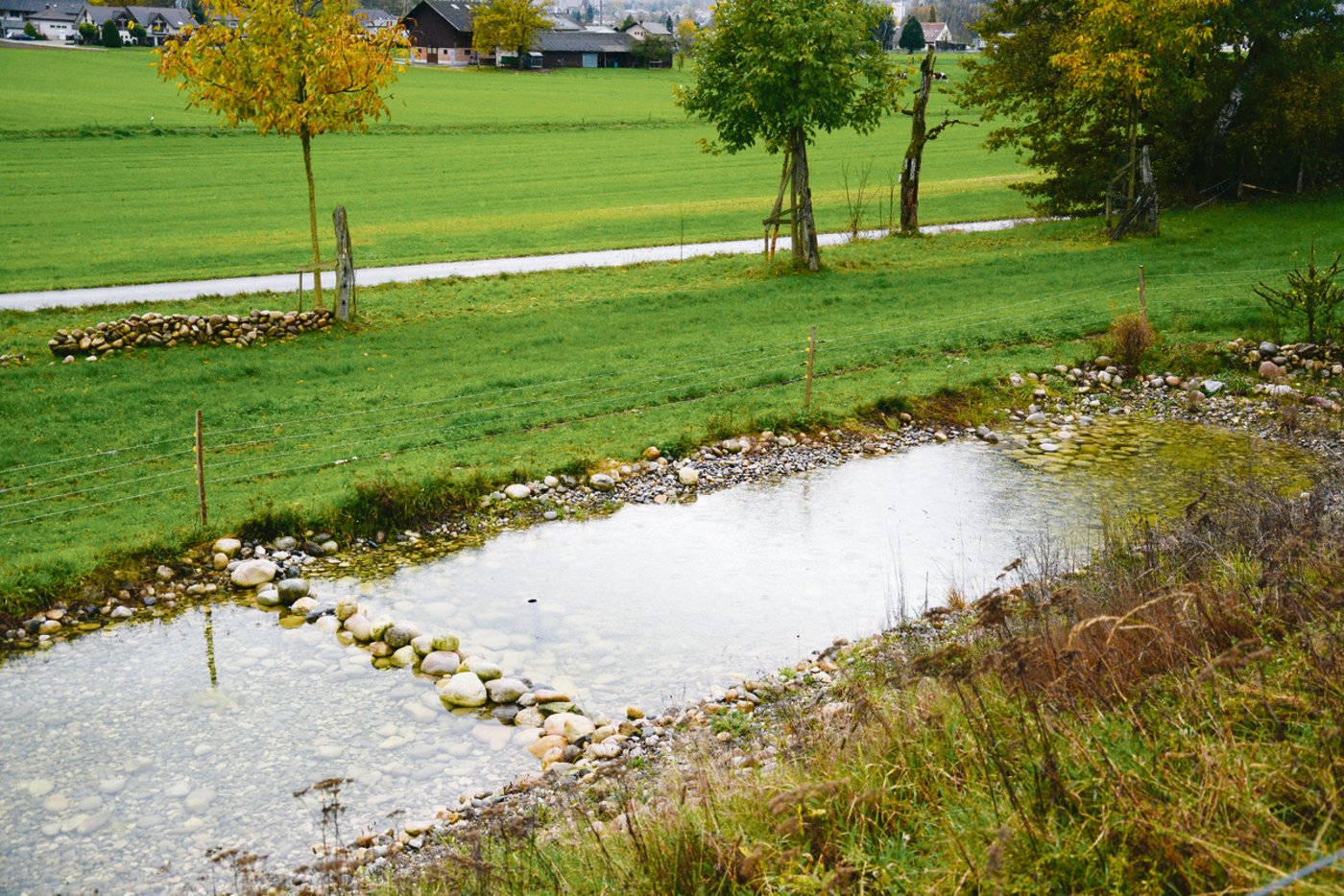 Für die Erstellung eines Weihers brauche es Beratung, sagt Ruedi Bühler. Links hat sich bereits die Kreuzkröte eingefunden, rechts ist die Geburtshelferkröte zu Hause. 