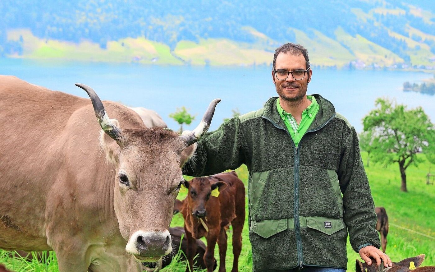 Adrian Iten-Marty setzt auf seinem Bio-Bergbetrieb oberhalb des Ägerisees auf die Ammenkuhhaltung, weil die Ressourceneffizienz bei dieser Produktionsform besser ist als bei der normalen Mutterkuhhaltung.