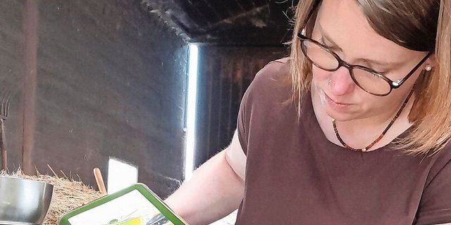 Johanniskraut, geschnitten und in Öl eingelegt, hat eine Heilwirkung.