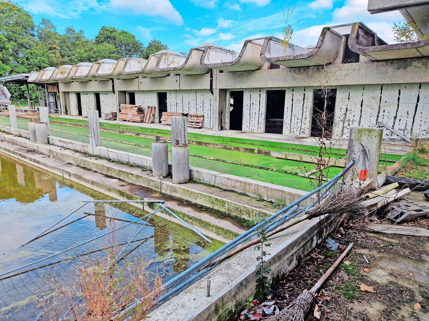 Kein schöner Anblick: Das Gebäude, in dem Geigy an Tieren forschte, fällt zusammen – was wird aus dem verlassenen Industriestandort?