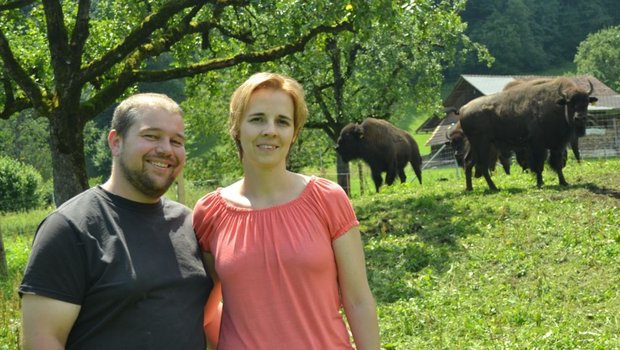 Marcel und Trudi Enz sind die ersten Bisonhalter in der Region. Im Hintergrund die imposanten Tiere auf der Weide auf dem Betrieb Gehri in Giswil. (Bild: Paul Küchler)