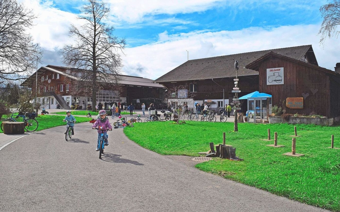 Die halbe Dorfbevölkerung pilgerte am vergangenen Samstag zu Fuss oder mit dem Fahrrad auf den Zelghof in Horn. Es ging aber nicht lange, bis die Kinder vom Fahrrad auf die Trettraktoren wechselten.