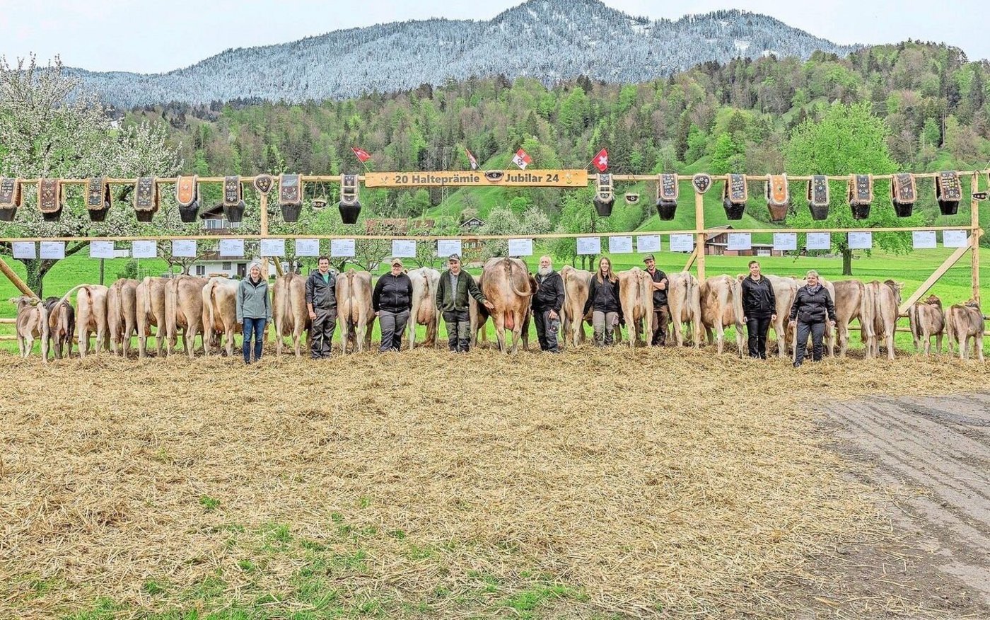 Ein herrliches Bild gab die Halteprämie Jongleur Jubilar von Aussteller Daniel Enz, Giswil, ab.