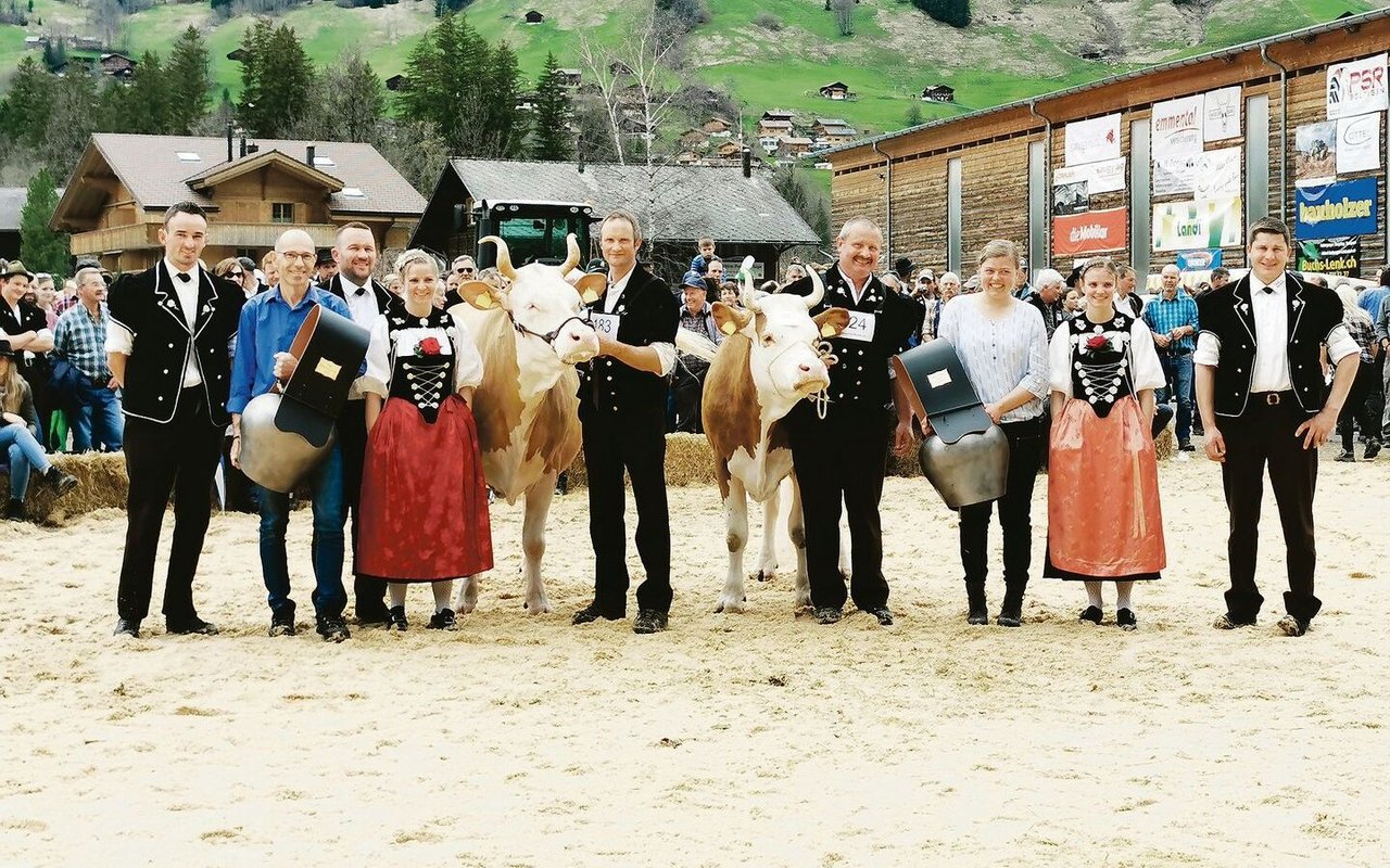 Die Schönsten der zahlreich vertretenen Simmentalrasse: Die Miss Tina von Ueli Zimmermann (links) sowie Schöneutersiegerin Miranda von Adrian Gobeli wurden von den Richtern Christian Zurbrügg und Jan Jungen gekrönt.