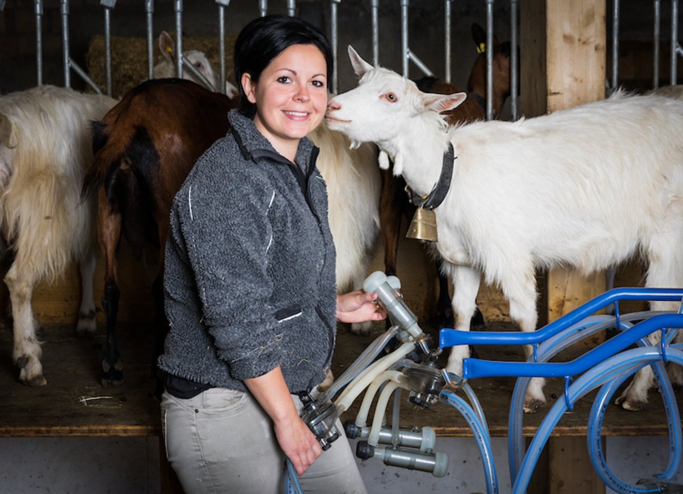 Wenn der Mann auswärts ist, schaut die Bäuerin zu Ziegen und Schafen.