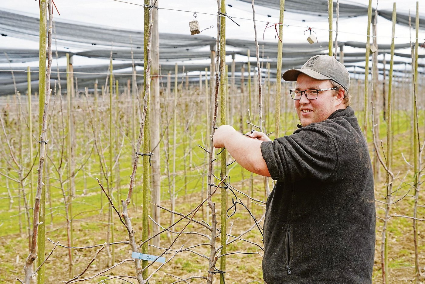 Beat Steckeisen bereitet die Obstanlage vor. Er ist im 1. Lehrjahr auf dem Betrieb von Vinz Bütler in Wädenswil ZH. (Bild zVg)