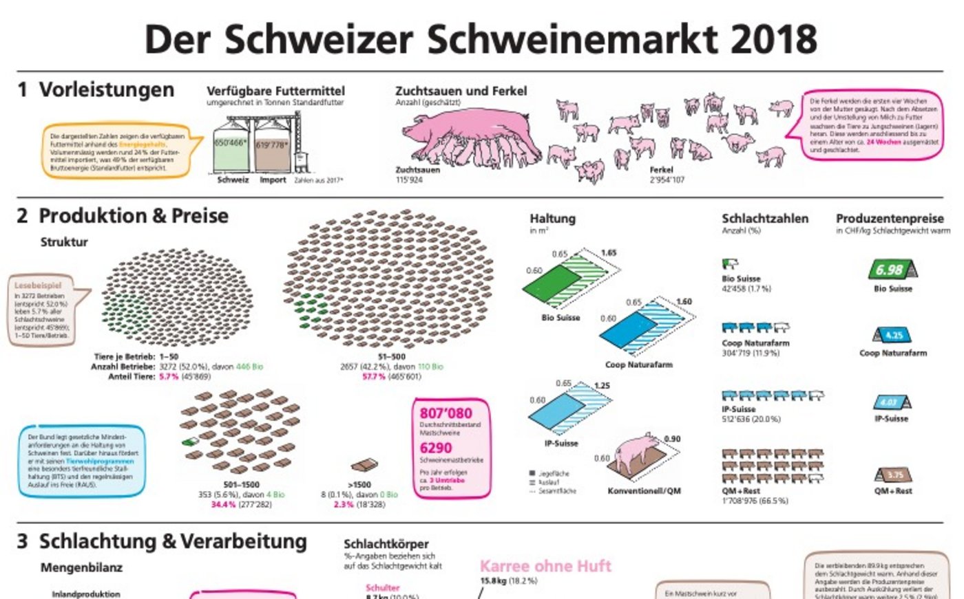 Die Infographik führt durch die vier Stufen Vorleistung, Produktion & Preise, Schlachtung & Verarbeitung sowie Detailhandel und Gastro-Grosshandel. (Bild Ausschnitt Infographik BLW) 
