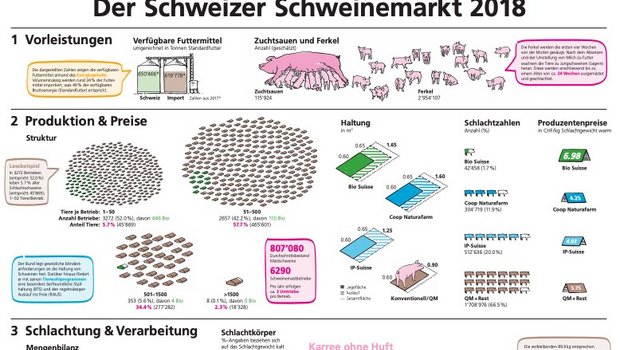 Die Infographik führt durch die vier Stufen Vorleistung, Produktion & Preise, Schlachtung & Verarbeitung sowie Detailhandel und Gastro-Grosshandel. (Bild Ausschnitt Infographik BLW) 