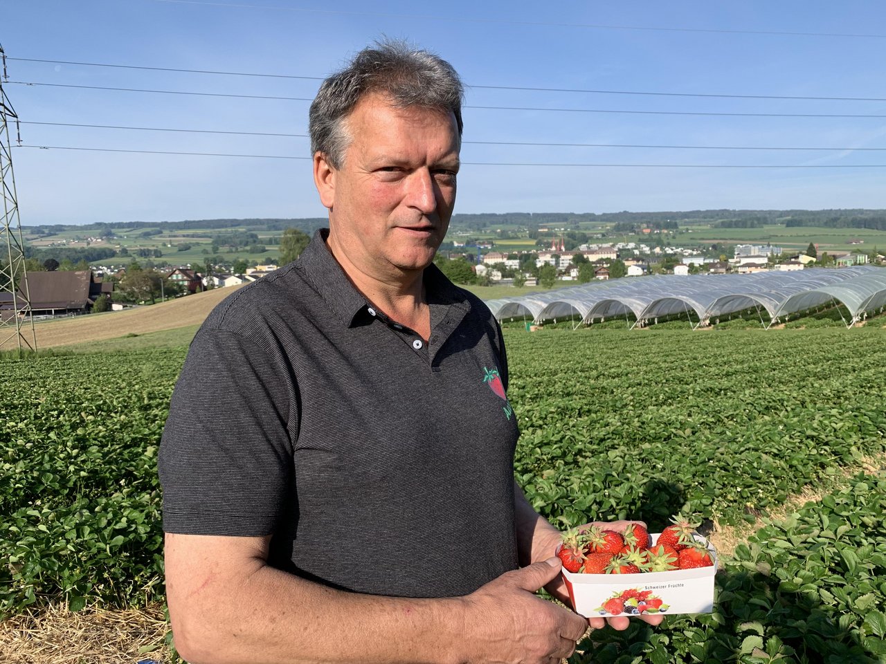 Der Präsident der Vereinigung Aargauischer Beerenpflanzer, Willi Staubli, gibt den Startschuss für die regionale Erdbeerensaison. (Bild js)