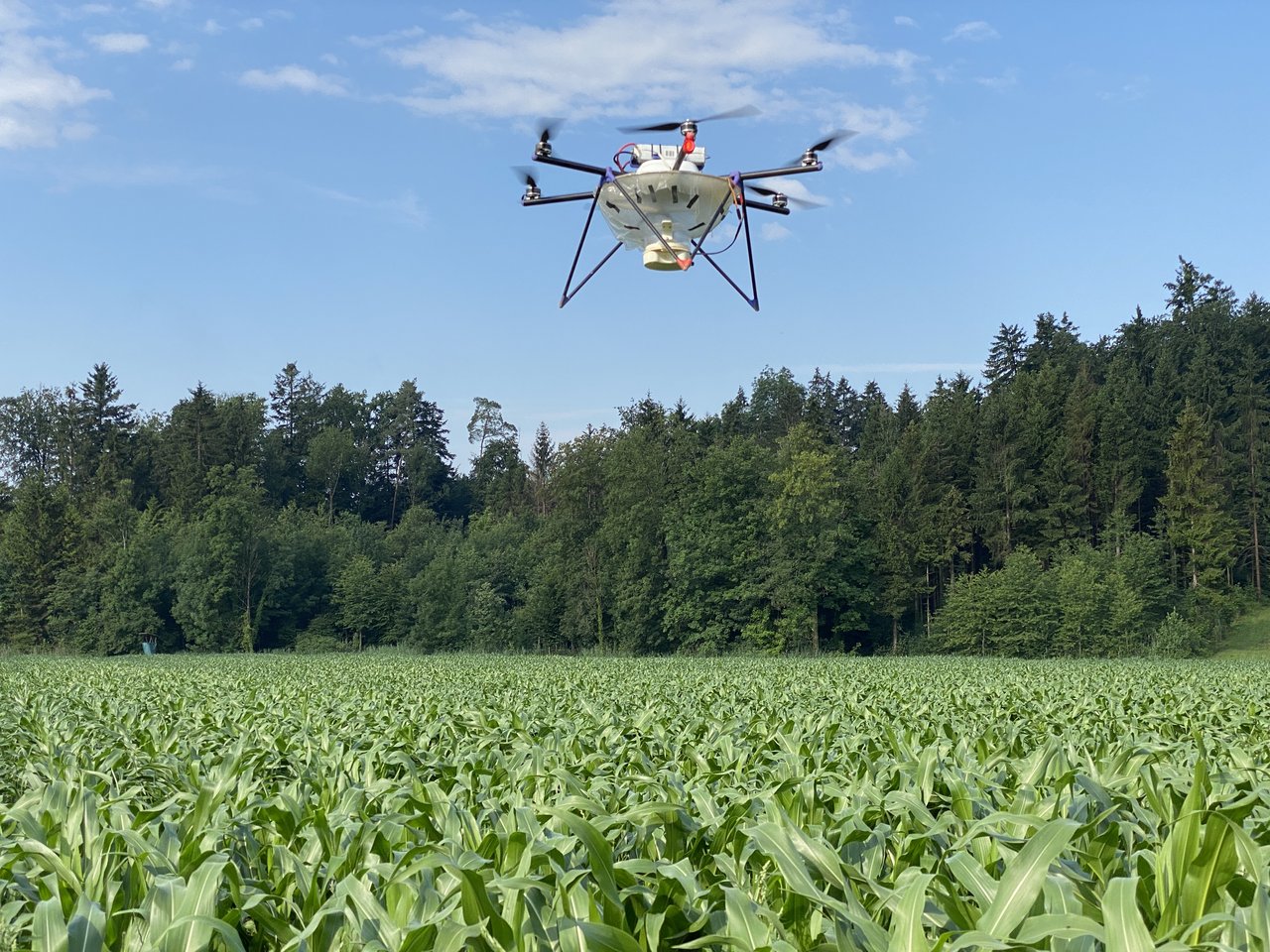 Die Drohne steigt auf 10 Metern Höhe bis sie dann eine Reihe nach der anderen abfliegt und alle 7 Meter eine Kugel abwirft.