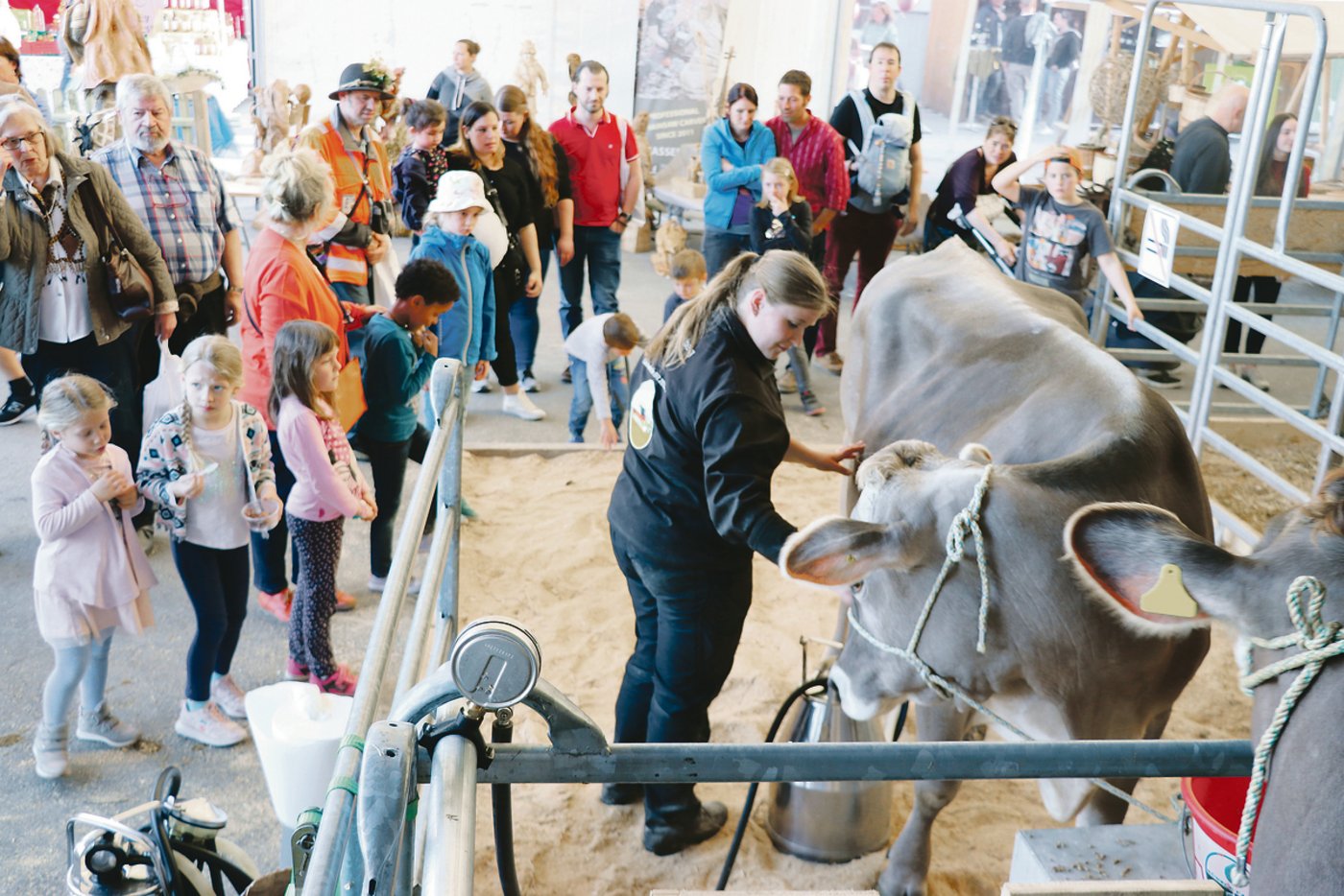 Anne Kaspar molk die Kühe vor Publikum und erlebte die Zuschauenden als interessiert und gesprächsbereit.(Bild Ruth Aerni)
