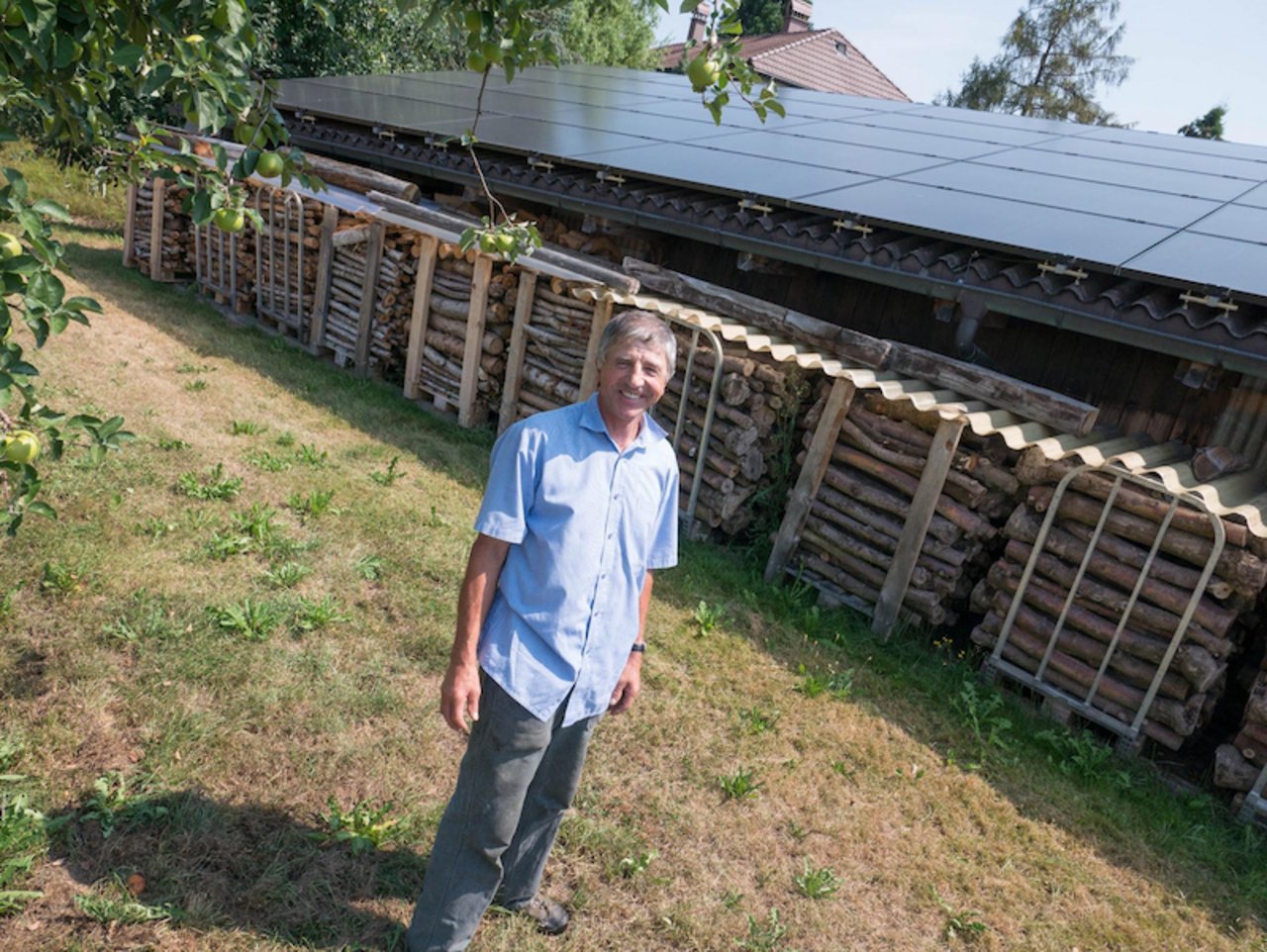 Obstbauer Urs Grunder spart dank der Solaranlage jährlich 10'000 Franken Stromkosten ein. (Bilder David Eppenberger)