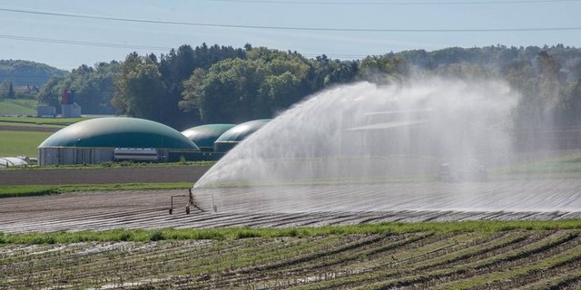 Wer in diesem Jahr nicht bewässern konnte, hatte wegen der Trockenheit ein Problem.