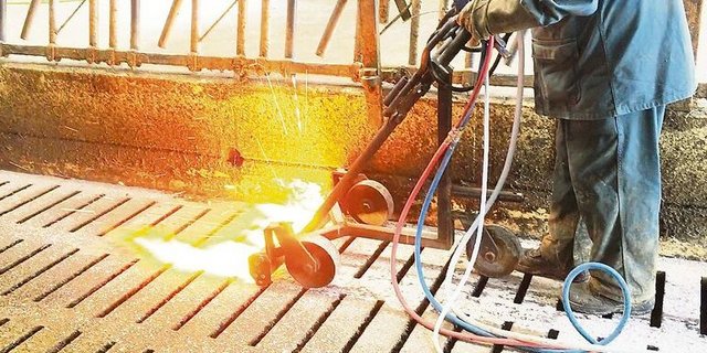 Lohnende Sanierung: Auf diesem Boden werden die Tiere wieder Halt finden.