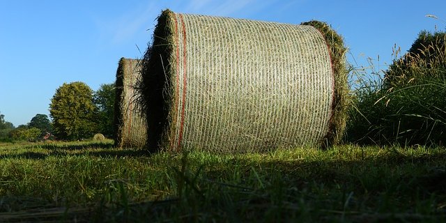 (Symbolbild pixabay)