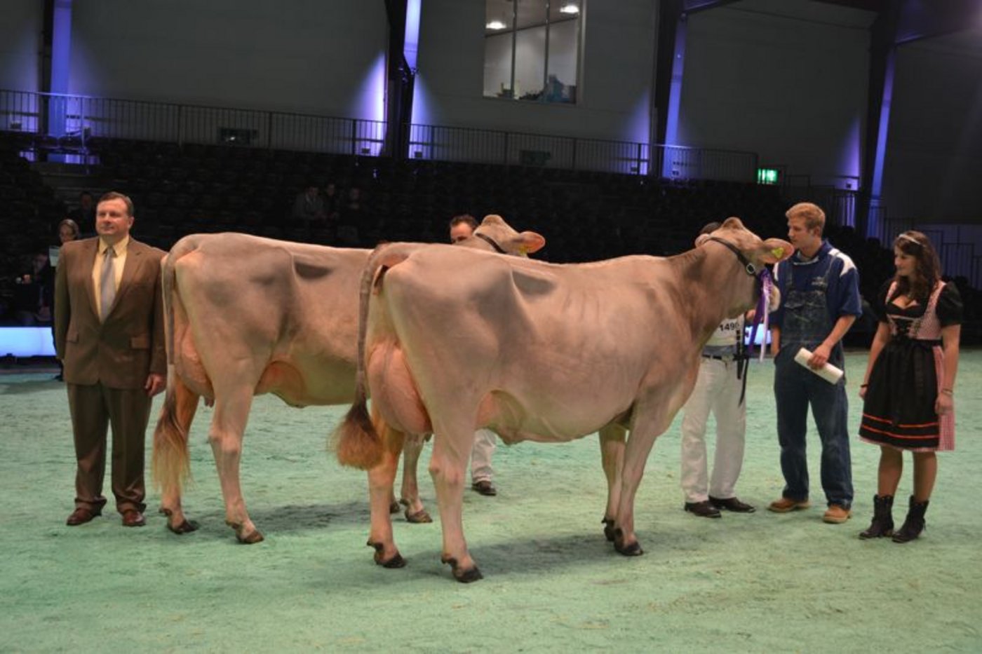Intermediate Schöneuter (rechts): Global View Alibaba Jasmin, Global View Genetics, Muolen / Reserve Intermediate Schöneuter: Tschudenhaus Big Boy Polly, Ezio Pedrini, Airolo