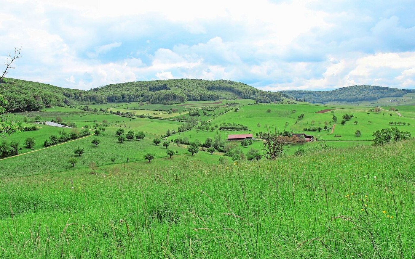 Vom Hof der Familie Wirth in Olsberg blickt man weit übers Land.
