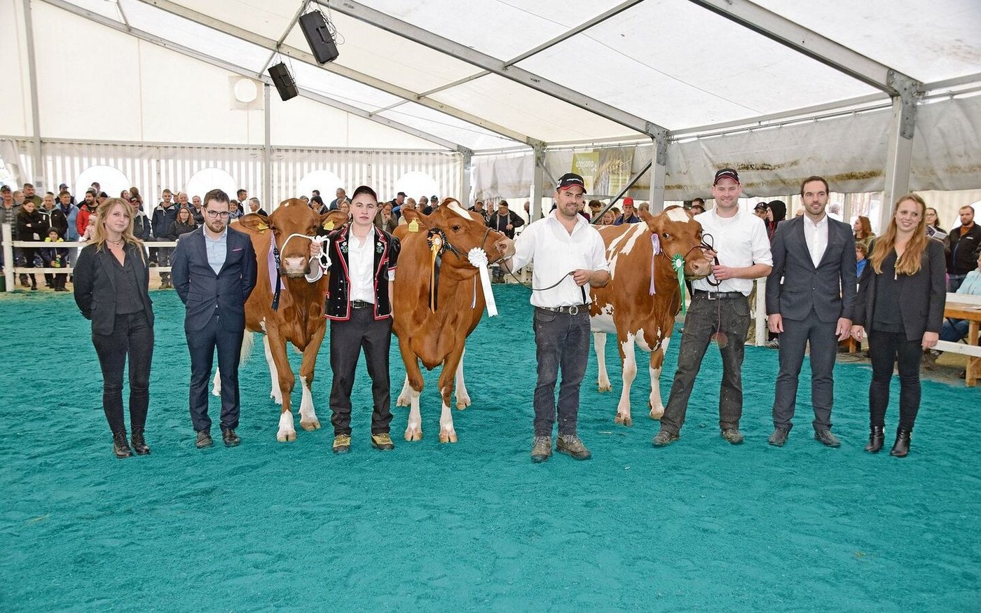 Senior SF (v. l. n. r.): Reserve: Käser’s Hardy Bavona; Miss: Kilian Kischa; Mention: Talboden Madison Calinka.