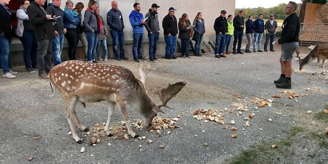 Betriebsrundgang im Martin Schurter im Damhirschen-Gehege. (Bilder zVg)